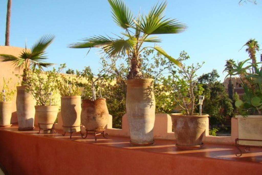 Emplacement N°1 ! Riad Ica Villa Marakeş Dış mekan fotoğraf